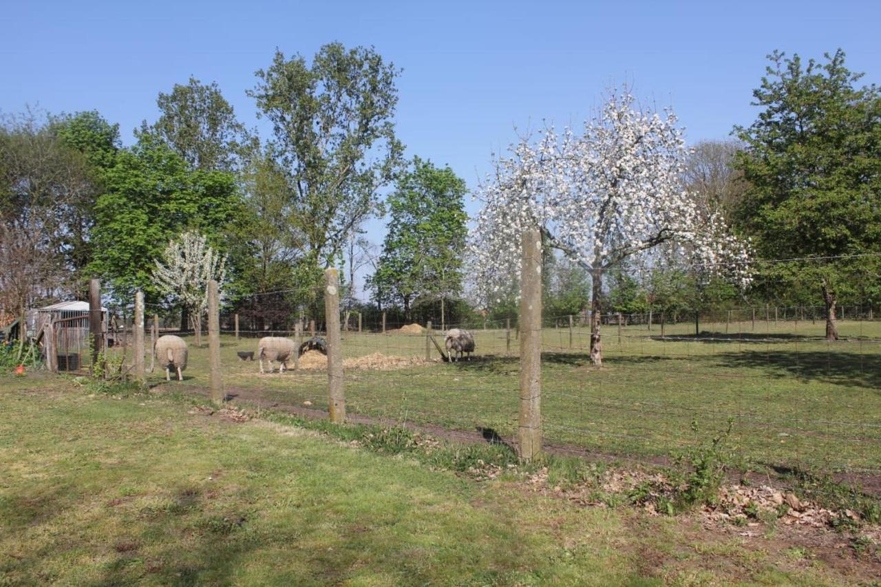 Bed and Breakfast Beej Potters à Weert Extérieur photo